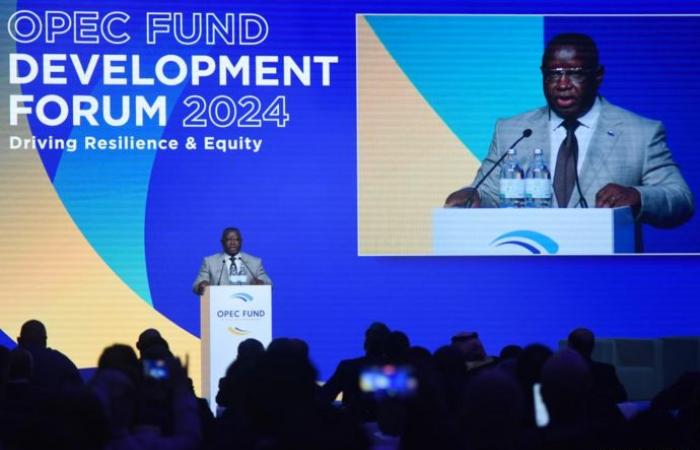 OPEC Fund calls for increased cooperation to ensure equitable development