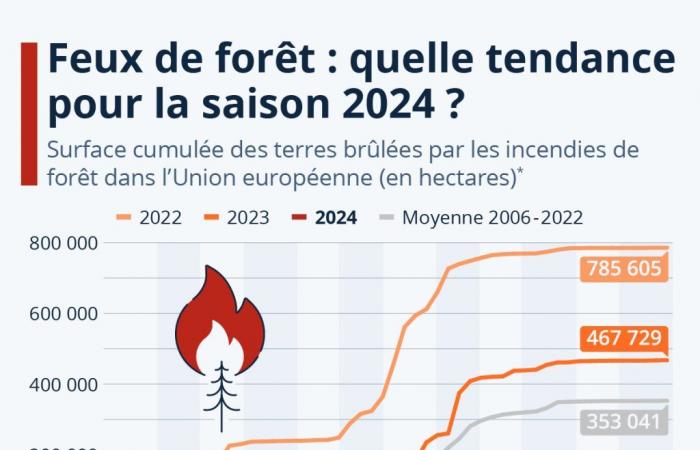 Graphic: Forest fires: what trend for the 2024 season in Europe?
