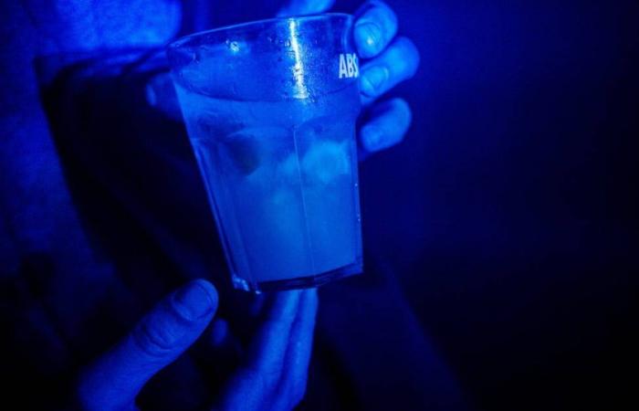 Alcohol kills 2.6 million people per year, warns the WHO – Libération