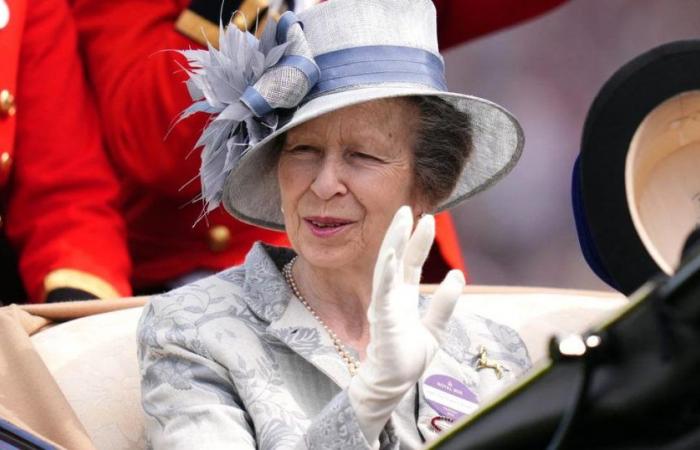 Princess Anne reportedly suffers from “temporary” memory loss, her husband gives her news