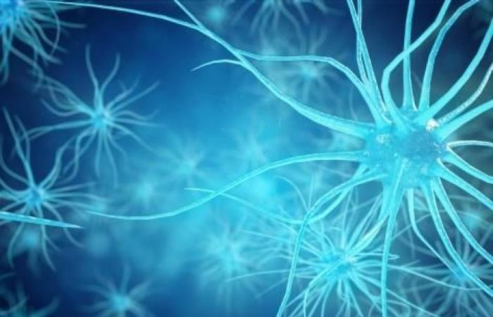 researchers identify genes responsible for neuron death