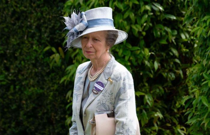 Princess Anne reportedly suffers from ‘memory loss’ after horse riding incident