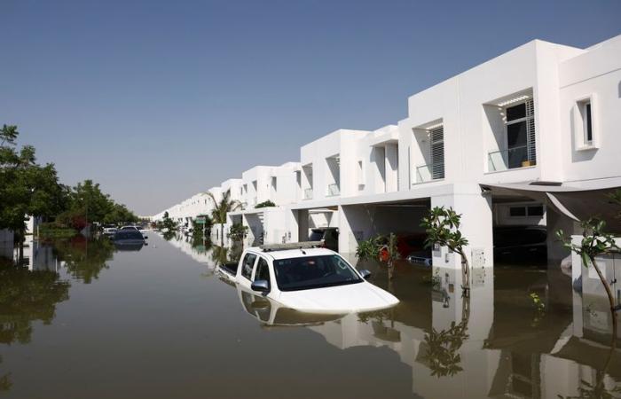 Dubai to strengthen its rainwater drainage system with $8.2 billion project