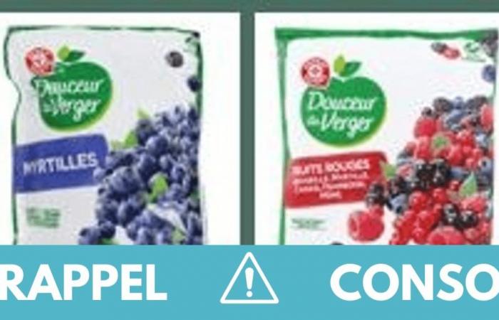 Product recall: Frozen blueberries and red fruits