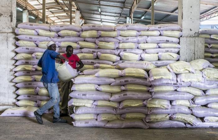 Price of bread: in Senegal, the government is putting manufacturers against the wall