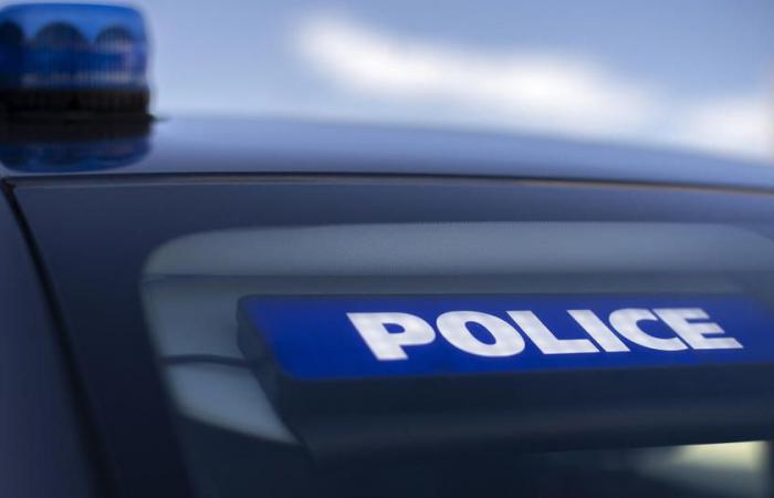 a man under OQTF placed in police custody for attempted rape of a woman in a medical office in Issy-les-Moulineaux
