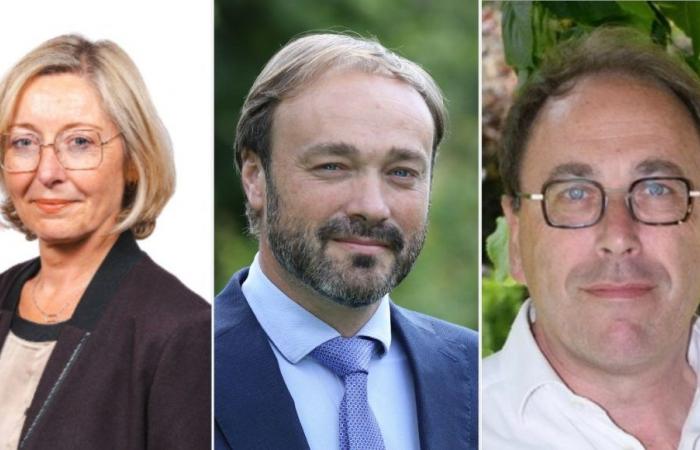 Legislative elections in Indre-et-Loire: in the 3rd constituency, a fragmented right facing the united left