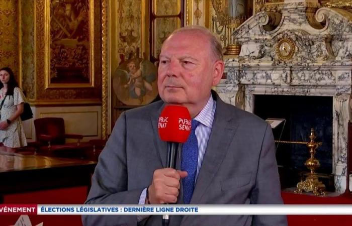 Legislative: “There is no strategy other than voting in favor of majority candidates”, assures Hervé Marseille