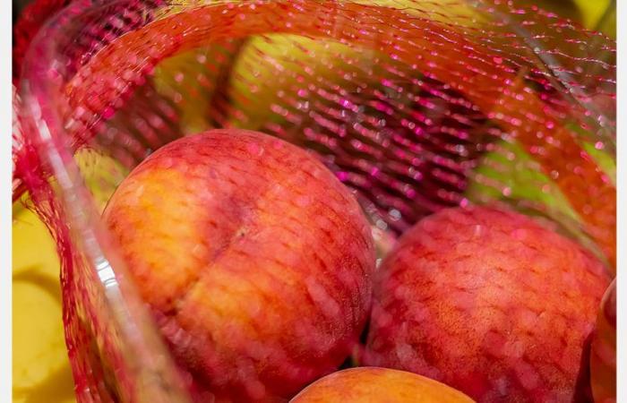 “There is a lot of pressure on the prices of small nectarines from the start of summer”