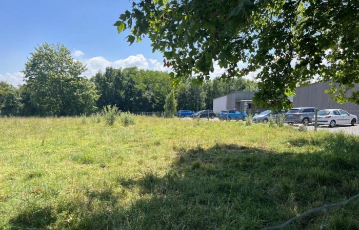 Three plots of land for sale to set up medical activities north of Caen
