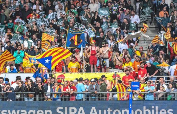 Top 14: no sanction for USAP after incidents in the stands during the match in Pau