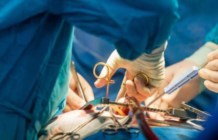 A breakthrough that could change heart transplantation
