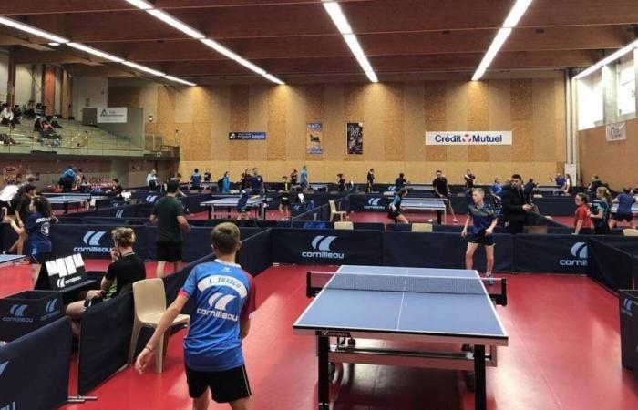 Alençon will not welcome a foreign delegation in judo and table tennis