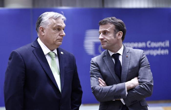 What are the issues at stake in the meeting between Emmanuel Macron and Hungarian Prime Minister Viktor Orban this Wednesday?