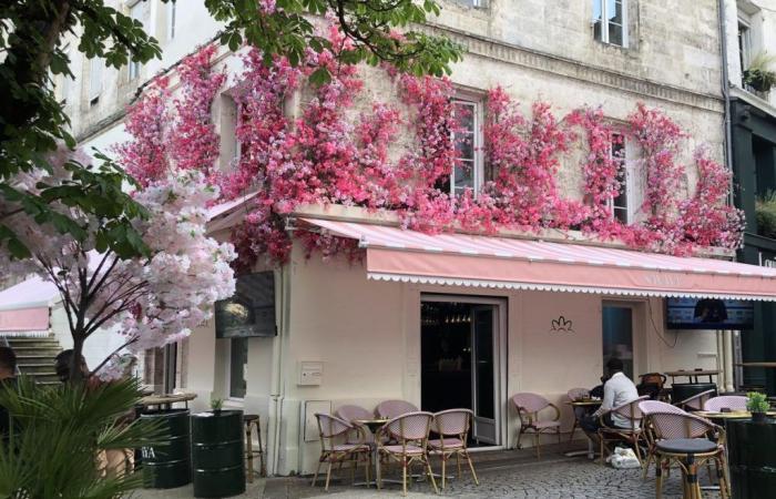 Angoulême: flowery facades are growing in the city