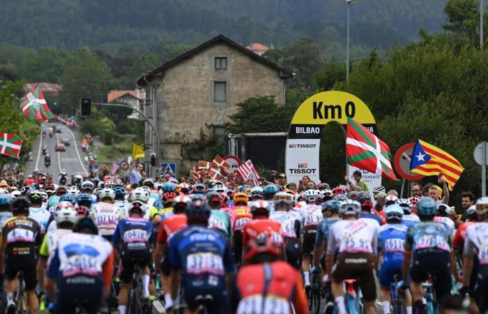 Tour de France 2024 – 600 anti-doping controls during the Grande Boucle