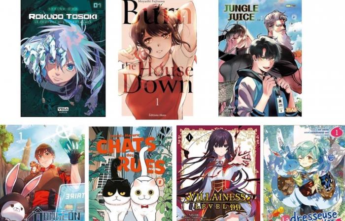 7 new manga winners for the Mangawa Prizes