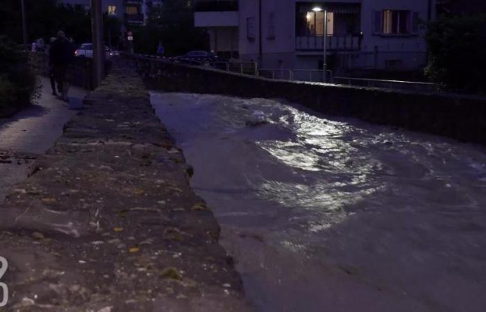 After violent storms, Morges cleans its streets and cellars – rts.ch