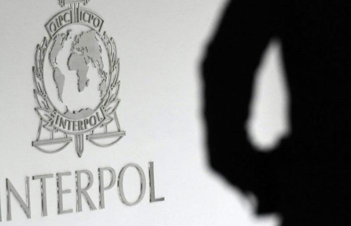 4,000 arrests and 257 million dollars seized in 61 countries, Interpol announces