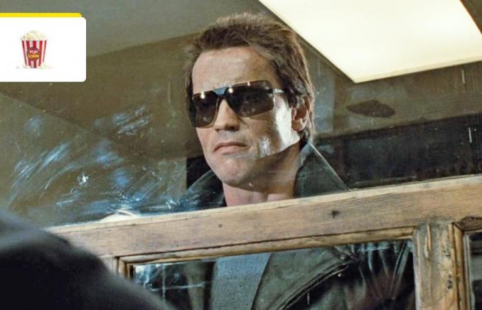 “Collapsing stupidity”: 39 years ago, this famous French actor criticized Terminator – Cinema News