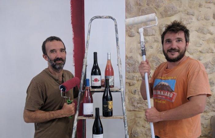 They are going to make their wine in the heart of Montpellier: the friendly bet of two young winegrowers inaugurated this Thursday