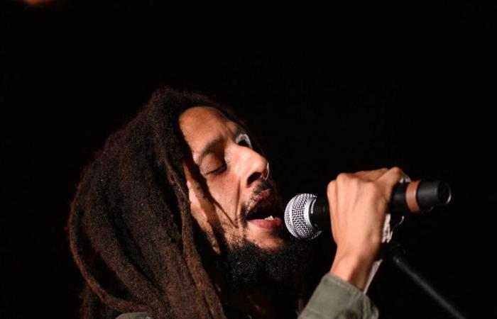 Lisieux: Julian Marley, one of Bob Marley’s sons, in concert this summer