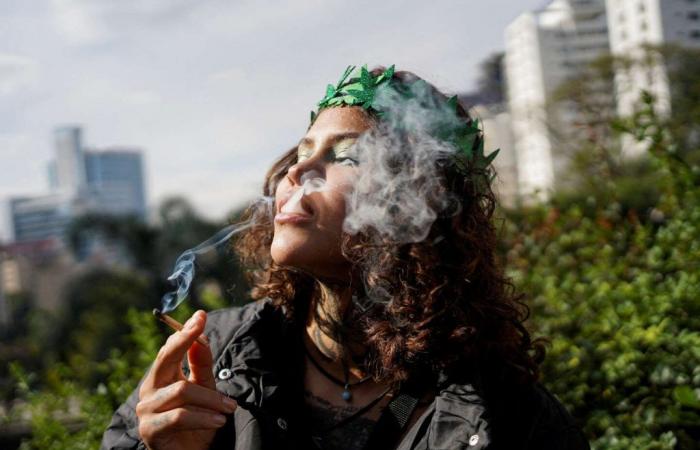 Brazil decriminalizes individual possession of cannabis