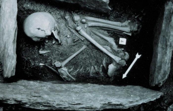 In Neolithic Switzerland, men, women and people from elsewhere ate the same thing