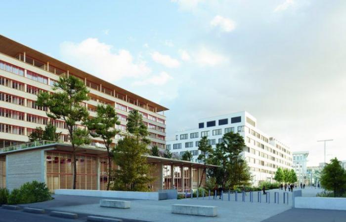 Aubervilliers – The future EPHE – PSL building at the Condorcet Campus is revealed