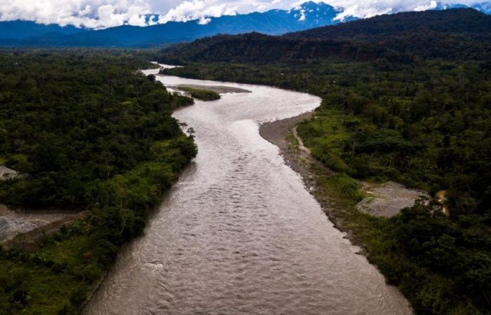 Ecuador: Oil leak in a major tributary of the Amazon