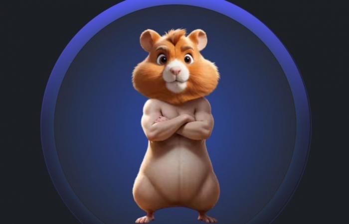 What is Hamster Kombat, this wildly successful game that worries Iran, Russia and Ukraine