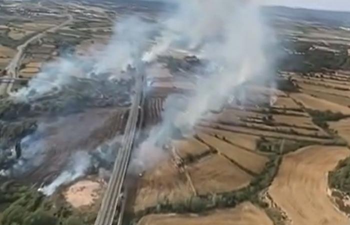 Catalonia: the bus catches fire and sets the neighboring forest ablaze, a campsite evacuated and high-speed trains interrupted