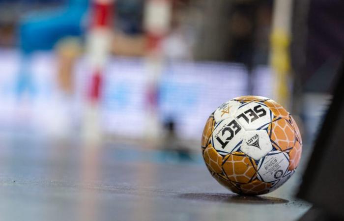 Metz Handball knows its fate