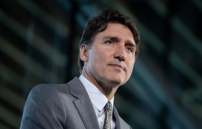 Liberal caucus united behind Trudeau, campaign co-chair says