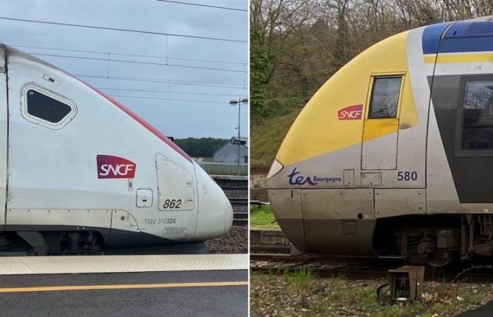 TER-TGV interconnection: David Marti brings Pierre-Etienne Graffard into the plan contract