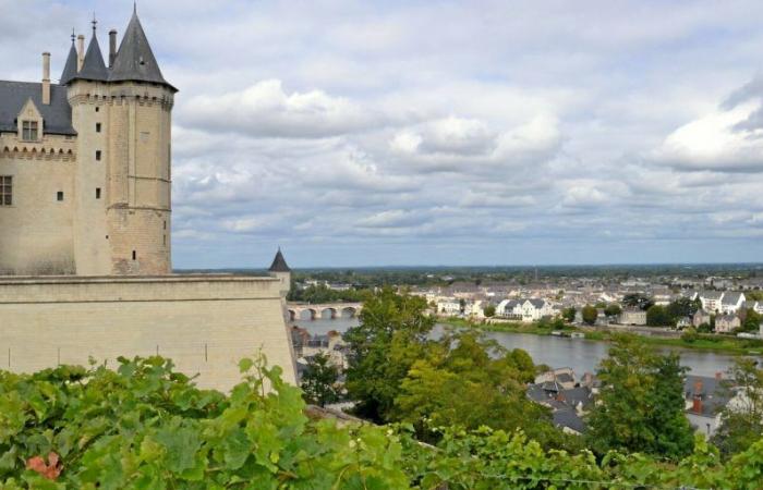 Loire Valley, Saumur and Samur-Champigny: our selection of 2024 summer wines