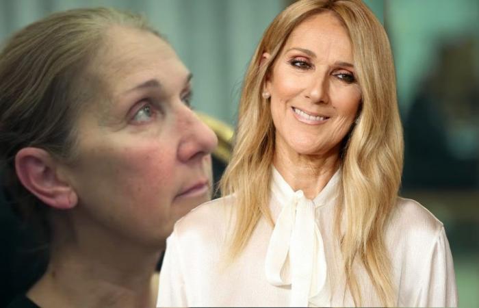 I saw the documentary about Celine Dion and it shocked me