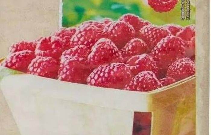 They cause acute gastroenteritis: frozen raspberries recalled throughout France