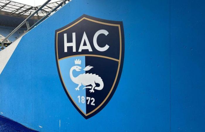 Ligue 1: the financial policeman of football imposes a control on the payroll of Le Havre AC