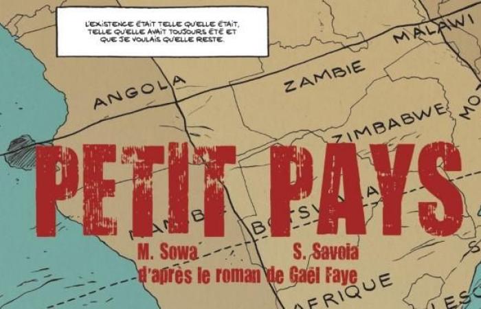 “Petit pays” by Gaël Faye is the subject of a delicate and dreamlike adaptation into comics – rts.ch