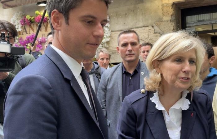 Interview. Legislative elections in Alençon-Domfront: four questions for Patricia Chapelotte