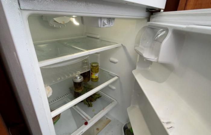 Empty community fridges in Quebec