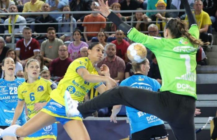 Metz Handball has a meeting with its former stars