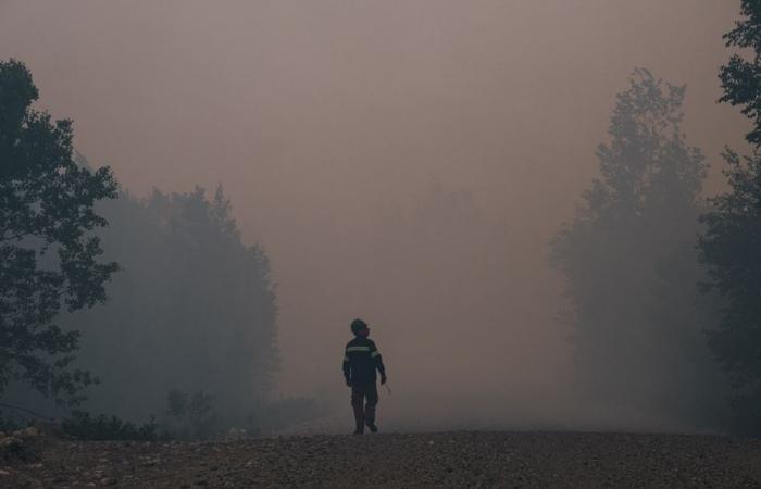 2023 wildfires in Canada | More CO2 emissions into the atmosphere than planes