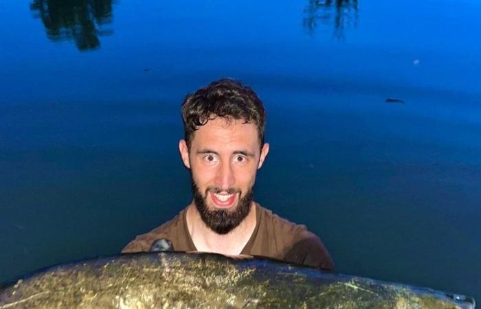 He fishes a 2.30 m long catfish weighing 101 kilos in the Tarn