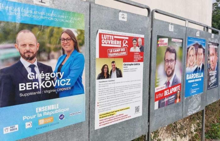 Legislative elections 2024. The priorities of the candidates for the second constituency of Calvados
