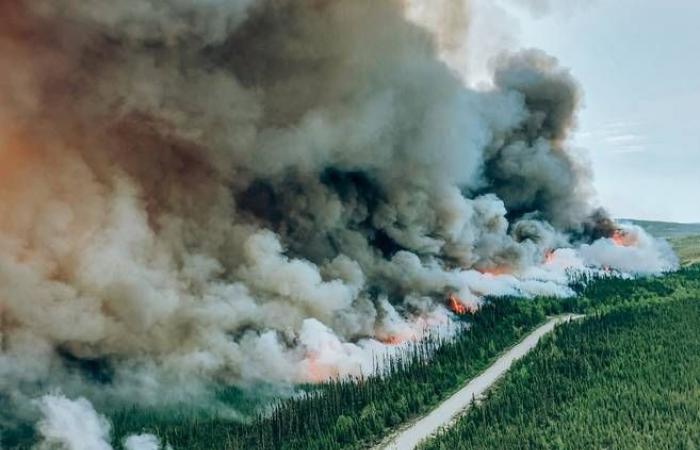 2023 wildfires released more CO₂ into the atmosphere than planes