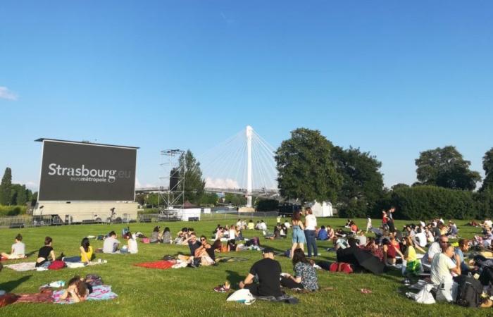 This summer, 19 films will be shown in Strasbourg and its surrounding areas