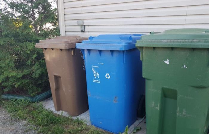 Collection with three trash cans is organized in Sept-Rivières