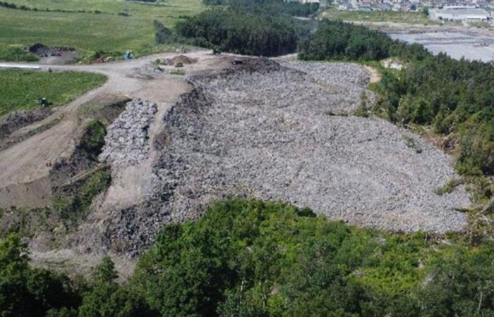 A company ordered to stop “illegal” work in wetlands in Rimouski